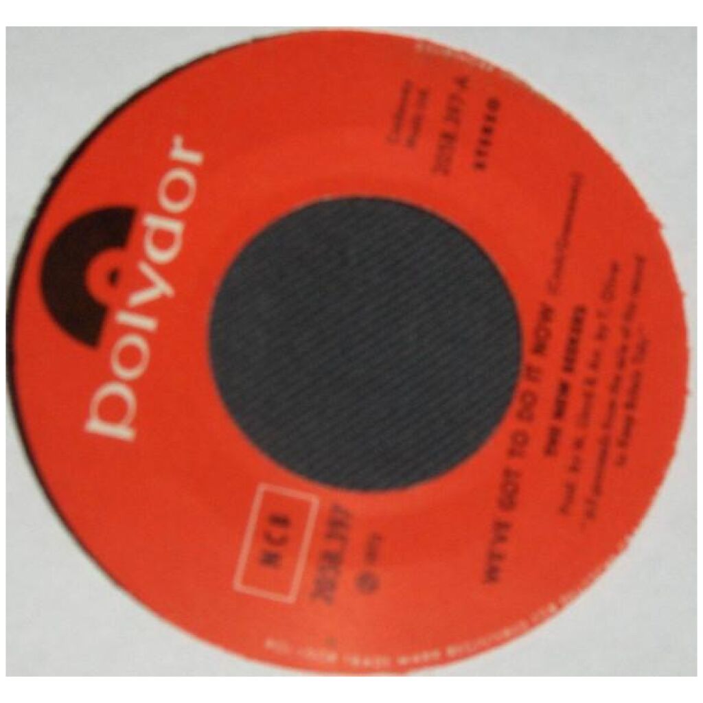 The New Seekers - Weve Got To Do It Now (7, Single)