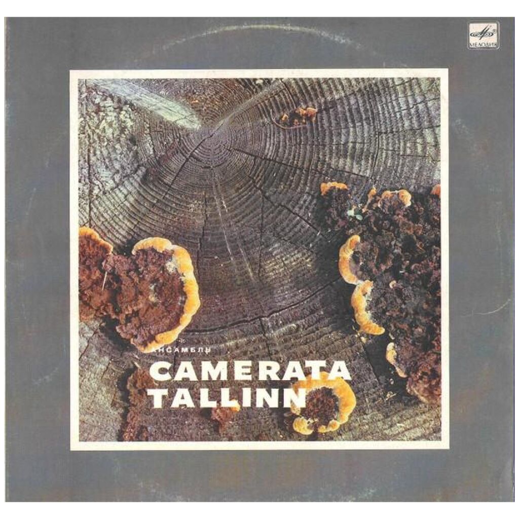 Camerata Tallinn - Ансамбль Camerata Tallinn (LP, Album)