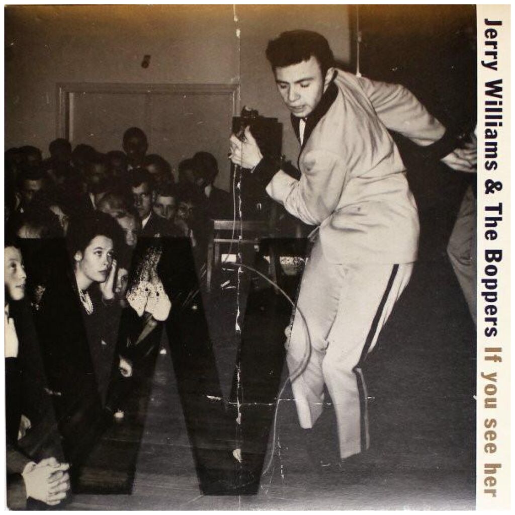 Jerry Williams (3), The Boppers - If You See Her (7, Single)