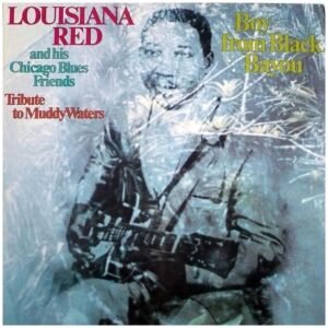 Louisiana Red And His Chicago Blues Friends - Boy From Black Bayou - Tribute To Muddy Waters (LP)