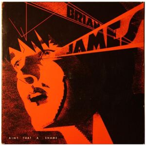 Brian James - Aint That A Shame (7, M/Print)