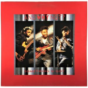And Why Not? - Something U Got (12, Maxi)
