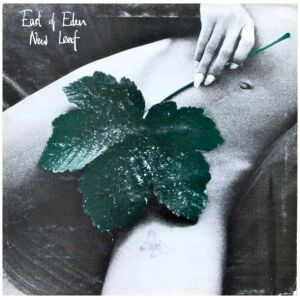 East Of Eden (2) - New Leaf (LP, Album)