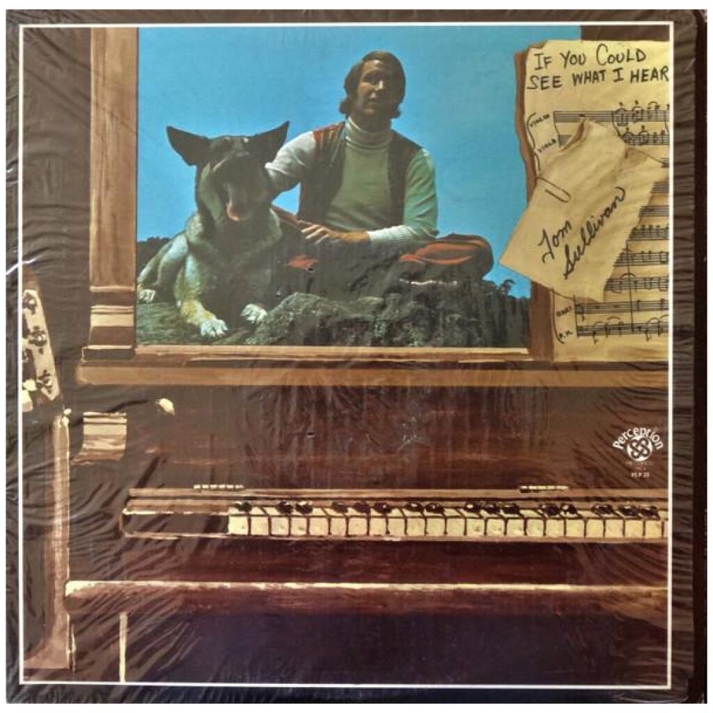 Tom Sullivan (3) - If You Could See What I Hear (LP, Album)