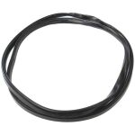 Windshield Gasket