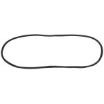 Windshield Gasket