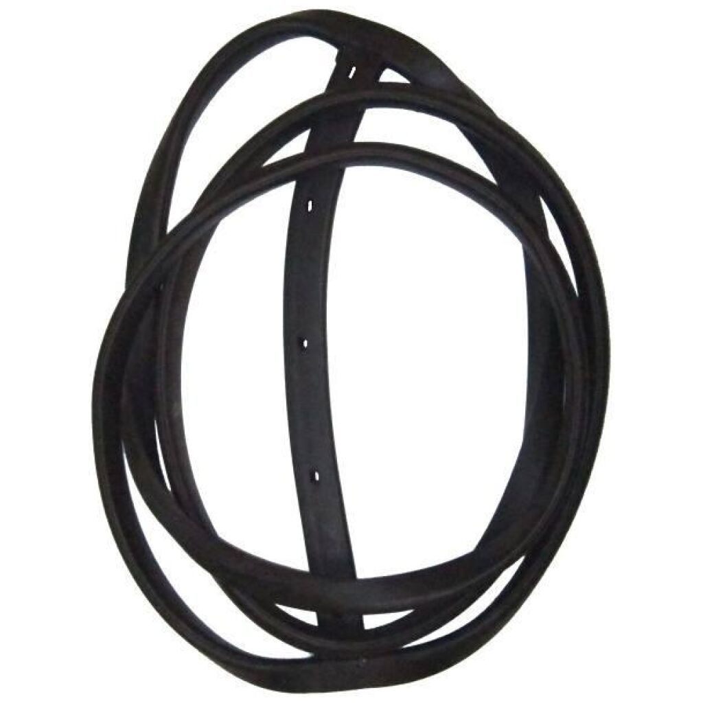 Windshield Gasket