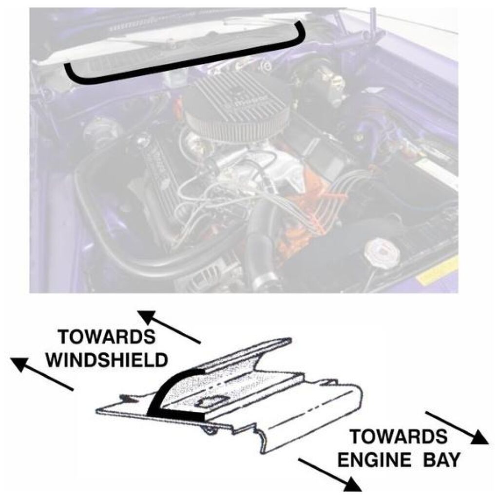 Torpedgummlist Huv 1970-74 2dr ht cab Dodge Plymouth