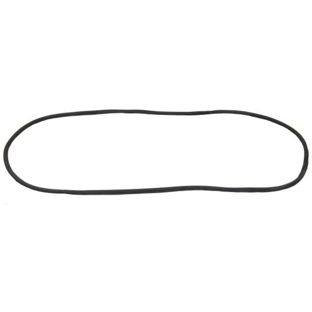Windshield Gasket