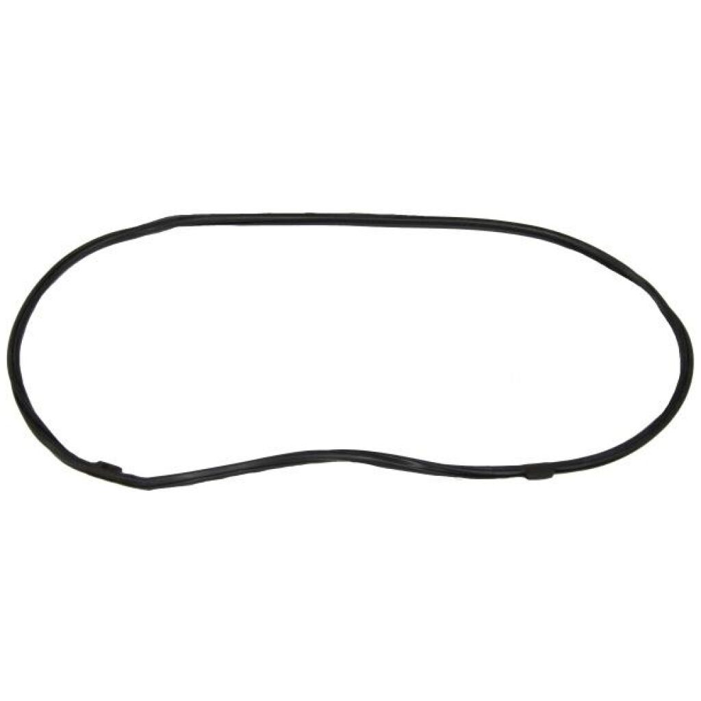 Windshield Gasket