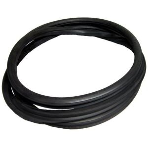 Windshield Gasket