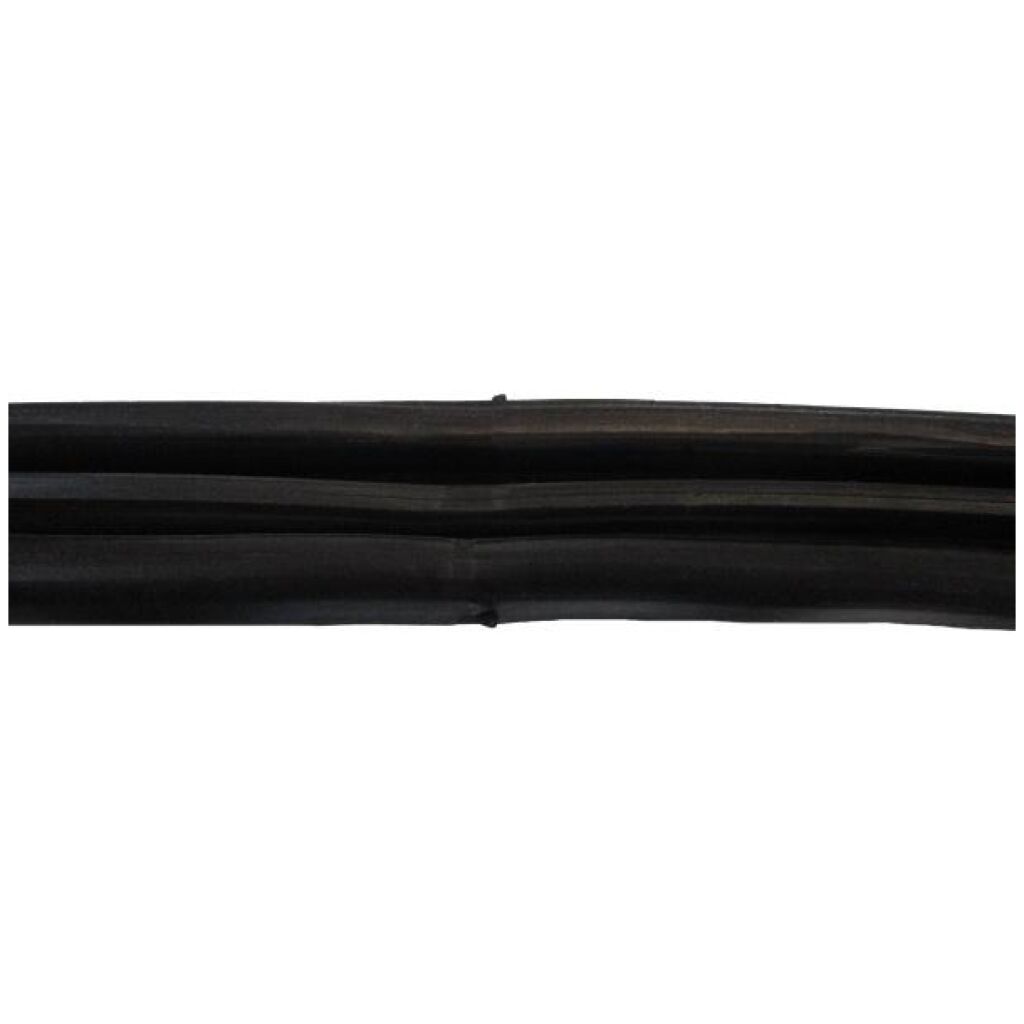 Windshield Gasket