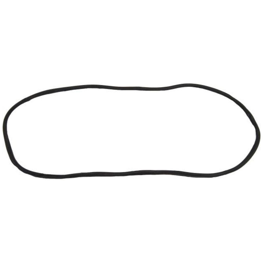 Windshield Gasket