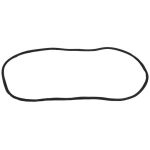 Windshield Gasket