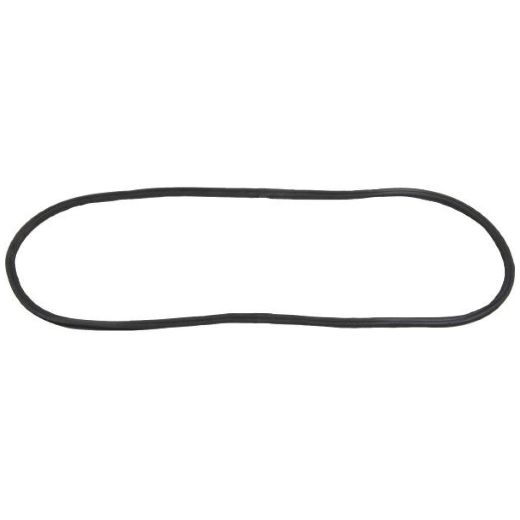 Windshield Gasket