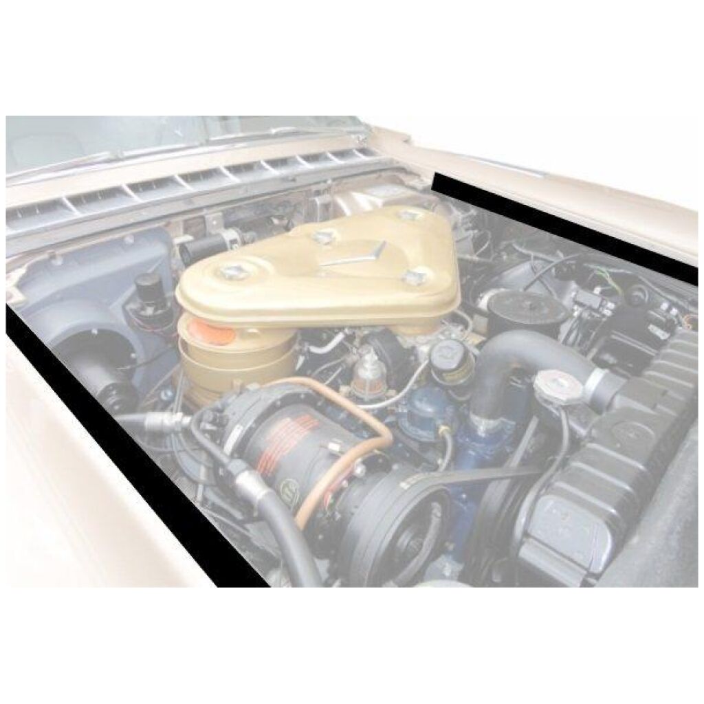Gummilist mellan huv & skärm 1957 2dr 4dr ht cab Cadillac
