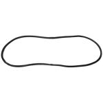 Windshield Gasket