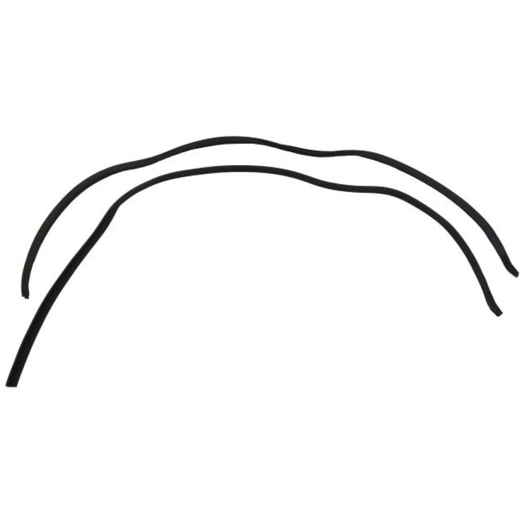 Hardtop Roof Rail Weatherstrips - Fastback
