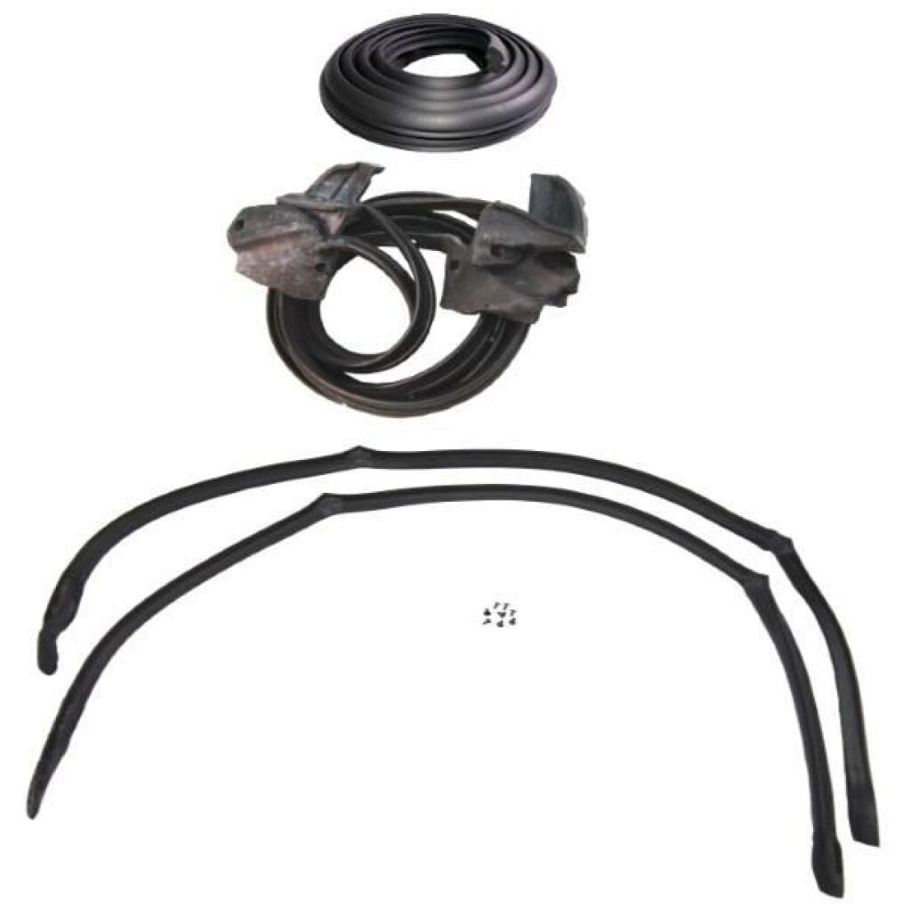 Gummilistsats 1976-77 2dr ht Oldsmobile