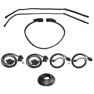 Gummilistsats 1969-70 4dr ht Buick