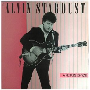 Alvin Stardust - A Picture Of You (LP, Album)