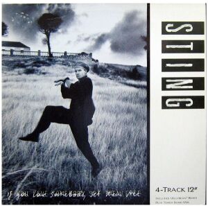 Sting - If You Love Somebody Set Them Free (12, Maxi)