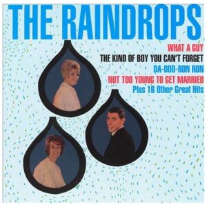 The Raindrops - The Raindrops (CD, Album, RE)