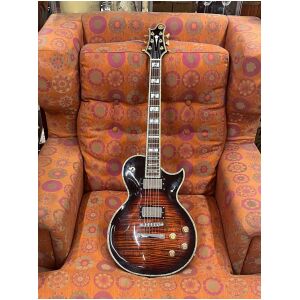 Carparelli S3 Otroligt snygg LP med fina inlays och binding. Mickarna uppgradera