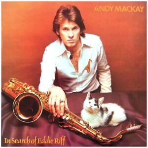 Andy Mackay - In Search Of Eddie Riff (LP, Album)