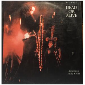 Dead Or Alive - Something In My House (12, Maxi)