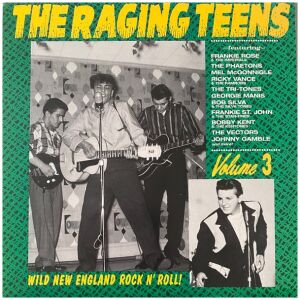 Various - The Raging Teens Volume 3 (LP, Comp)