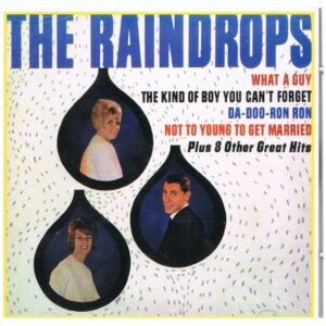The Raindrops - The Raindrops (CD, Album, RE)