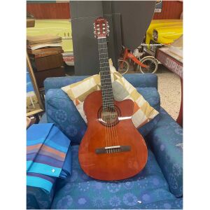 Harley Benton CG40 (PRYDNAD)