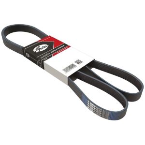 Serpentinrem Gates K060975