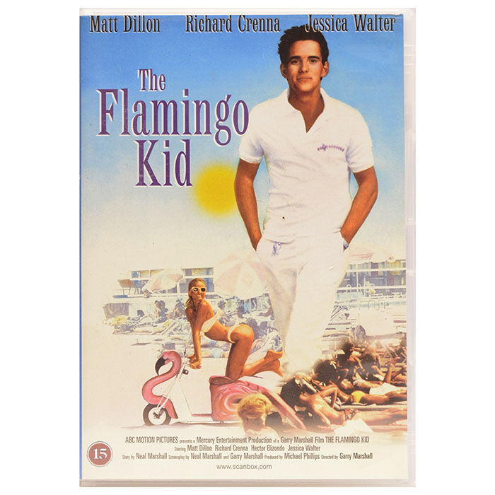 The Flamingo Kid