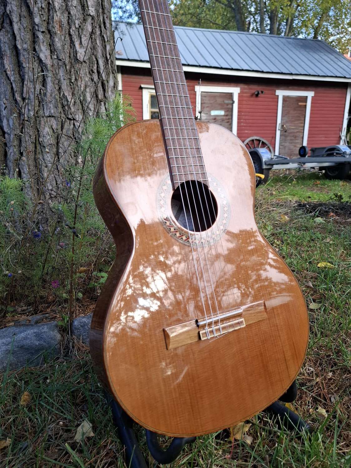 Höfner Carmencita 4/4 classic