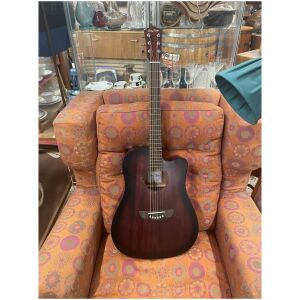 Harley Benton Delta Blues DCE
