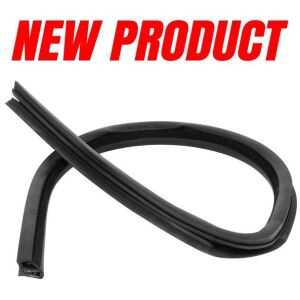 Side Window Glass Run Channel for Rear Right Door 2002-2008 2dr 4dr Dodge