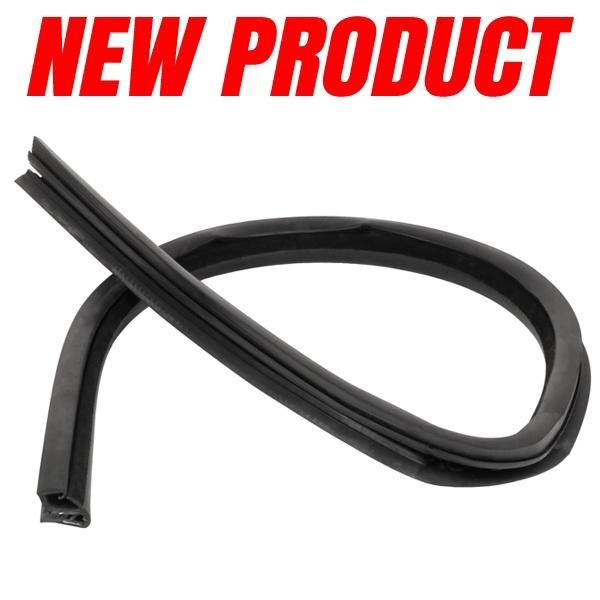 Side Window Glass Run Channel for Rear Right Door 2002-2008 2dr 4dr Dodge