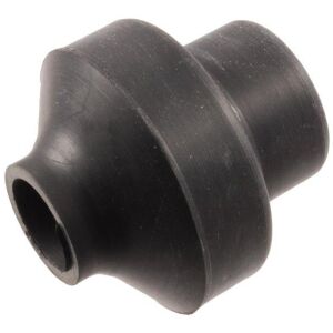 Radius rod bushing